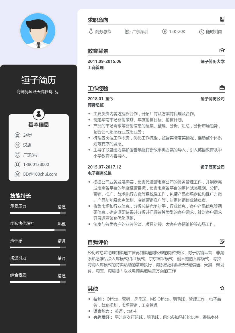 商务总监简历模板